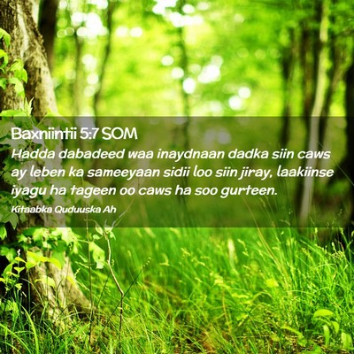 Picture 02 - Baxniintii 5:7 SOM - Hadda dabadeed waa inaydnaan dadka siin caws ay - Bible Verse Picture