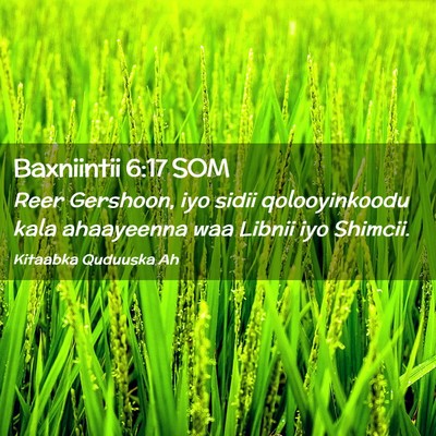Picture 02 - Baxniintii 6:17 SOM - Reer Gershoon, iyo sidii qolooyinkoodu kala - Bible Verse Picture