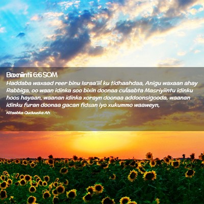 Picture 02 - Baxniintii 6:6 SOM - Haddaba waxaad reer binu Israa'iil ku tidhaahdaa, - Bible Verse Picture
