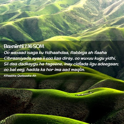 Picture 02 - Baxniintii 7:16 SOM - Oo waxaad isaga ku tidhaahdaa, Rabbiga ah Ilaaha - Bible Verse Picture