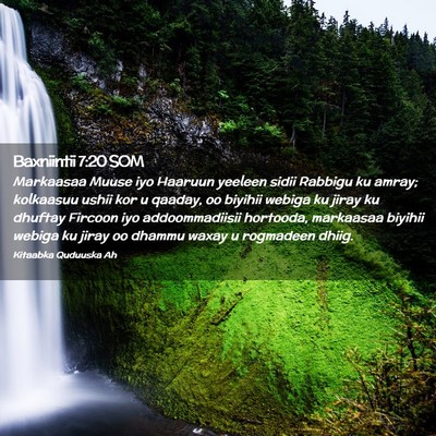 Picture 02 - Baxniintii 7:20 SOM - Markaasaa Muuse iyo Haaruun yeeleen sidii Rabbigu - Bible Verse Picture