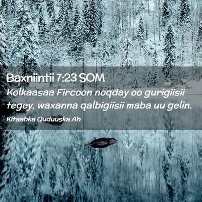 Picture 02 - Baxniintii 7:23 SOM - Kolkaasaa Fircoon noqday oo gurigiisii tegey, - Bible Verse Picture