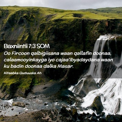 Picture 02 - Baxniintii 7:3 SOM - Oo Fircoon qalbigiisana waan qallafin doonaa, - Bible Verse Picture