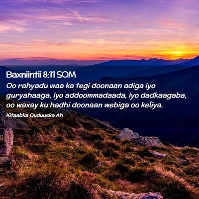 Picture 02 - Baxniintii 8:11 SOM - Oo rahyadu waa ka tegi doonaan adiga iyo - Bible Verse Picture