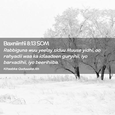 Picture 02 - Baxniintii 8:13 SOM - Rabbiguna wuu yeelay siduu Muuse yidhi, oo - Bible Verse Picture