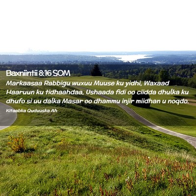 Picture 02 - Baxniintii 8:16 SOM - Markaasaa Rabbigu wuxuu Muuse ku yidhi, Waxaad - Bible Verse Picture
