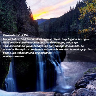 Picture 02 - Baxniintii 8:21 SOM - Haddii kalese haddaadan dadkayga sii daynin inay - Bible Verse Picture