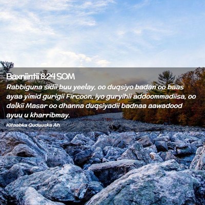 Picture 02 - Baxniintii 8:24 SOM - Rabbiguna sidii buu yeelay, oo duqsiyo badan oo - Bible Verse Picture