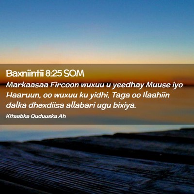 Picture 02 - Baxniintii 8:25 SOM - Markaasaa Fircoon wuxuu u yeedhay Muuse iyo - Bible Verse Picture