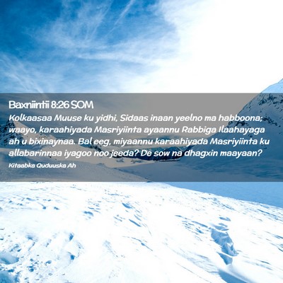 Picture 02 - Baxniintii 8:26 SOM - Kolkaasaa Muuse ku yidhi, Sidaas inaan yeelno ma - Bible Verse Picture