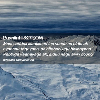 Picture 02 - Baxniintii 8:27 SOM - Meel saddex maalmood loo socdo oo cidla ah - Bible Verse Picture