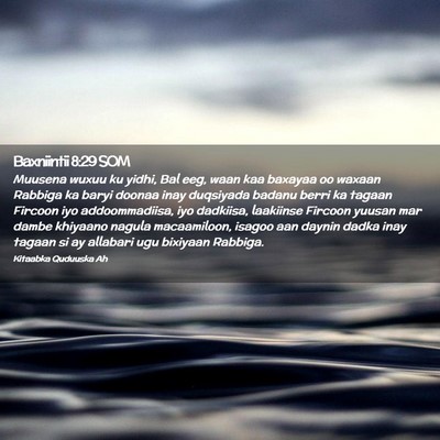 Picture 02 - Baxniintii 8:29 SOM - Muusena wuxuu ku yidhi, Bal eeg, waan kaa baxayaa - Bible Verse Picture
