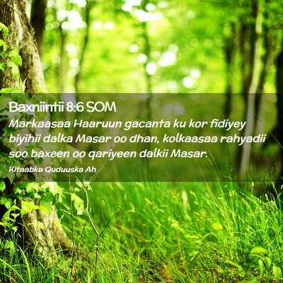 Picture 02 - Baxniintii 8:6 SOM - Markaasaa Haaruun gacanta ku kor fidiyey biyihii - Bible Verse Picture