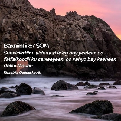 Picture 02 - Baxniintii 8:7 SOM - Saaxiriintiina sidaas si le'eg bay yeeleen oo - Bible Verse Picture