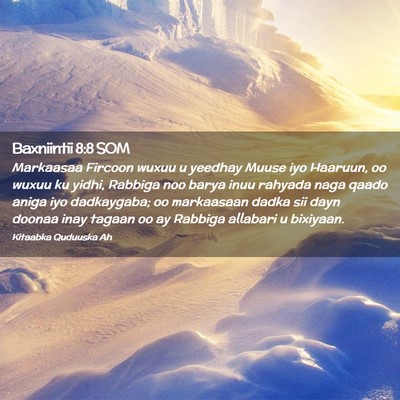 Picture 02 - Baxniintii 8:8 SOM - Markaasaa Fircoon wuxuu u yeedhay Muuse iyo - Bible Verse Picture