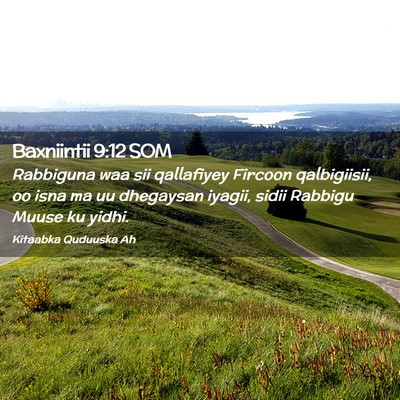 Picture 02 - Baxniintii 9:12 SOM - Rabbiguna waa sii qallafiyey Fircoon qalbigiisii, - Bible Verse Picture
