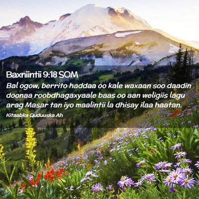 Picture 02 - Baxniintii 9:18 SOM - Bal ogow, berrito haddaa oo kale waxaan soo - Bible Verse Picture