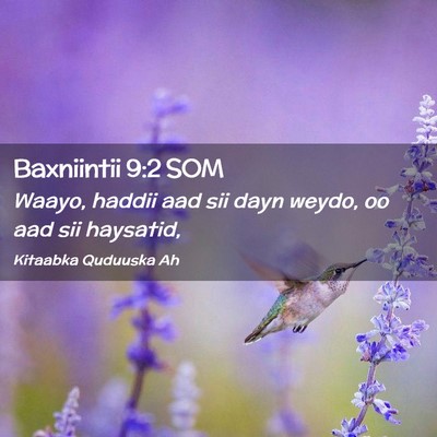 Picture 02 - Baxniintii 9:2 SOM - Waayo, haddii aad sii dayn weydo, oo aad sii - Bible Verse Picture