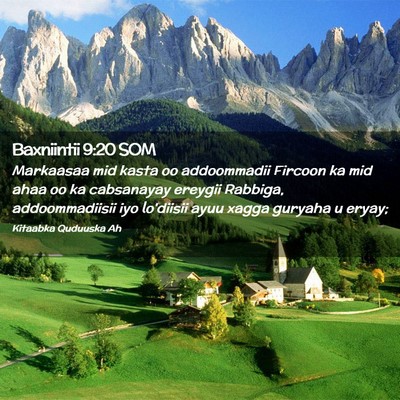 Picture 02 - Baxniintii 9:20 SOM - Markaasaa mid kasta oo addoommadii Fircoon ka mid - Bible Verse Picture