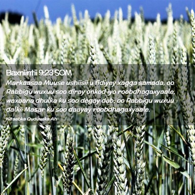 Picture 02 - Baxniintii 9:23 SOM - Markaasaa Muuse ushiisii u fidiyey xagga samada, - Bible Verse Picture