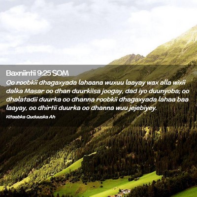 Picture 02 - Baxniintii 9:25 SOM - Oo roobkii dhagaxyada lahaana wuxuu laayay wax - Bible Verse Picture