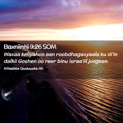 Picture 02 - Baxniintii 9:26 SOM - Waxaa keliyahoo aan roobdhagaxyaale ku di'in - Bible Verse Picture