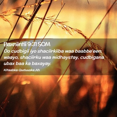 Picture 02 - Baxniintii 9:31 SOM - Oo cudbigii iyo shaciirkiiba waa baabbe'een; - Bible Verse Picture
