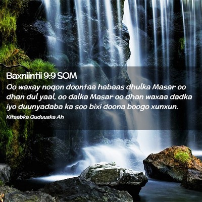 Picture 02 - Baxniintii 9:9 SOM - Oo waxay noqon doontaa habaas dhulka Masar oo - Bible Verse Picture