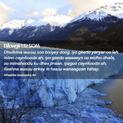 Picture 02 - Bilowgii 1:12 SOM - Dhulkiina wuxuu soo bixiyey doog, iyo geedo - Bible Verse Picture