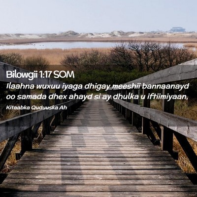 Picture 02 - Bilowgii 1:17 SOM - Ilaahna wuxuu iyaga dhigay meeshii bannaanayd oo - Bible Verse Picture
