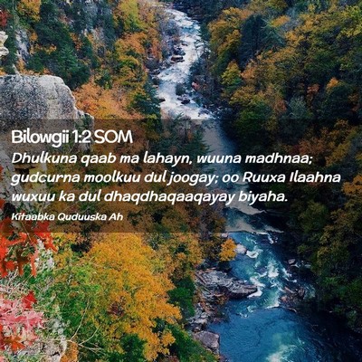 Picture 02 - Bilowgii 1:2 SOM - Dhulkuna qaab ma lahayn, wuuna madhnaa; gudcurna - Bible Verse Picture