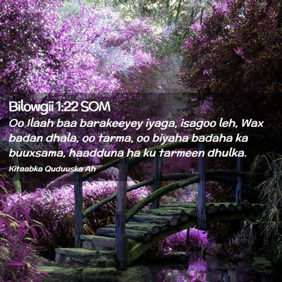 Picture 02 - Bilowgii 1:22 SOM - Oo Ilaah baa barakeeyey iyaga, isagoo leh, Wax - Bible Verse Picture