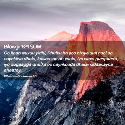 Picture 02 - Bilowgii 1:24 SOM - Oo Ilaah wuxuu yidhi, Dhulku ha soo bixiyo uun - Bible Verse Picture