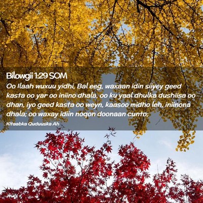 Picture 02 - Bilowgii 1:29 SOM - Oo Ilaah wuxuu yidhi, Bal eeg, waxaan idin siiyey - Bible Verse Picture