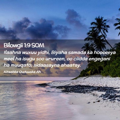 Picture 02 - Bilowgii 1:9 SOM - Ilaahna wuxuu yidhi, Biyaha samada ka hooseeya - Bible Verse Picture