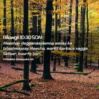 Picture 02 - Bilowgii 10:30 SOM - Meeshay degganaayeenna waxay ka bilaabmaysay - Bible Verse Picture