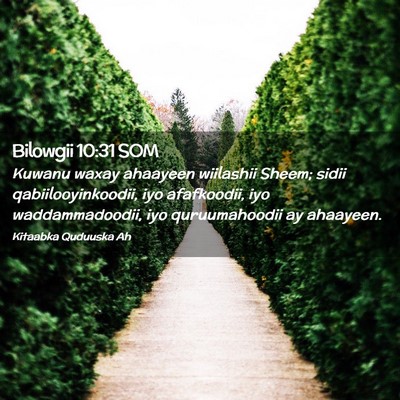 Picture 02 - Bilowgii 10:31 SOM - Kuwanu waxay ahaayeen wiilashii Sheem; sidii - Bible Verse Picture