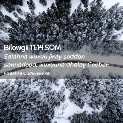 Picture 02 - Bilowgii 11:14 SOM - Salahna wuxuu jiray soddon sannadood, wuxuuna - Bible Verse Picture