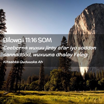 Picture 02 - Bilowgii 11:16 SOM - Ceeberna wuxuu jiray afar iyo soddon sannadood, - Bible Verse Picture