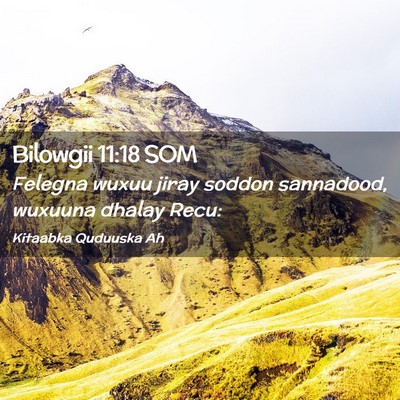 Picture 02 - Bilowgii 11:18 SOM - Felegna wuxuu jiray soddon sannadood, wuxuuna - Bible Verse Picture