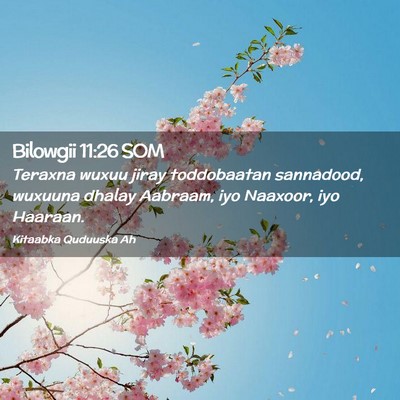 Picture 02 - Bilowgii 11:26 SOM - Teraxna wuxuu jiray toddobaatan sannadood, - Bible Verse Picture