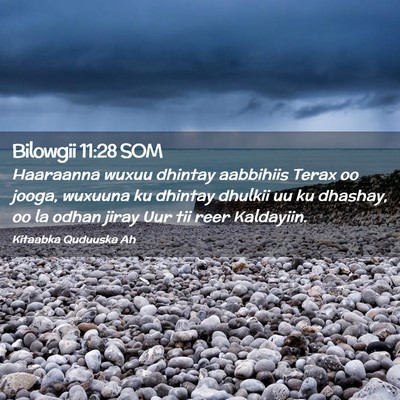 Picture 02 - Bilowgii 11:28 SOM - Haaraanna wuxuu dhintay aabbihiis Terax oo jooga, - Bible Verse Picture