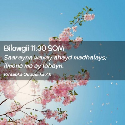 Picture 02 - Bilowgii 11:30 SOM - Saarayna waxay ahayd madhalays; ilmona ma ay - Bible Verse Picture