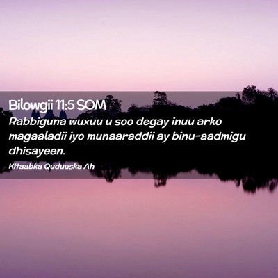 Picture 02 - Bilowgii 11:5 SOM - Rabbiguna wuxuu u soo degay inuu arko magaaladii - Bible Verse Picture