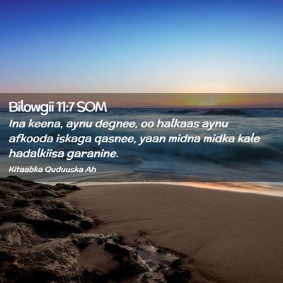 Picture 02 - Bilowgii 11:7 SOM - Ina keena, aynu degnee, oo halkaas aynu afkooda - Bible Verse Picture