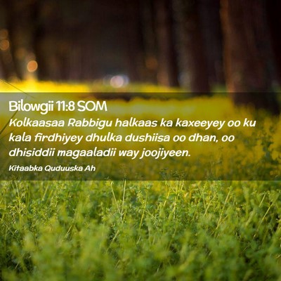 Picture 02 - Bilowgii 11:8 SOM - Kolkaasaa Rabbigu halkaas ka kaxeeyey oo ku kala - Bible Verse Picture