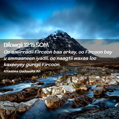 Picture 02 - Bilowgii 12:15 SOM - Oo amiirradii Fircoon baa arkay, oo Fircoon bay u - Bible Verse Picture