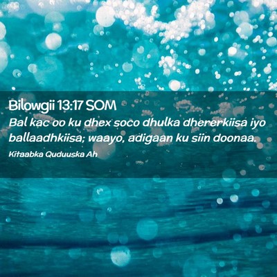 Picture 02 - Bilowgii 13:17 SOM - Bal kac oo ku dhex soco dhulka dhererkiisa iyo - Bible Verse Picture