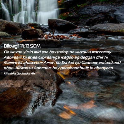Picture 02 - Bilowgii 14:13 SOM - Oo waxaa yimid mid soo baxsaday, oo wuxuu u - Bible Verse Picture