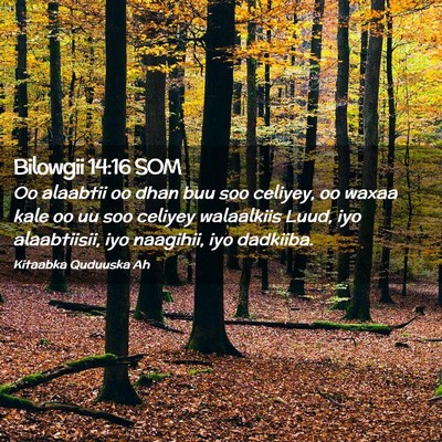 Picture 02 - Bilowgii 14:16 SOM - Oo alaabtii oo dhan buu soo celiyey, oo waxaa - Bible Verse Picture